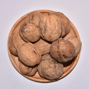 Nozes a granel na concha